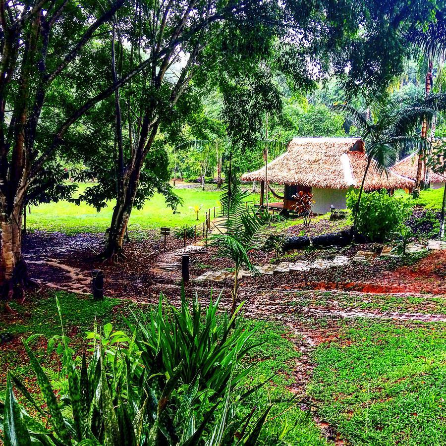 La Habana Amazon Reserve Puerto Maldonado Bagian luar foto